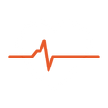 Heart & Vessels